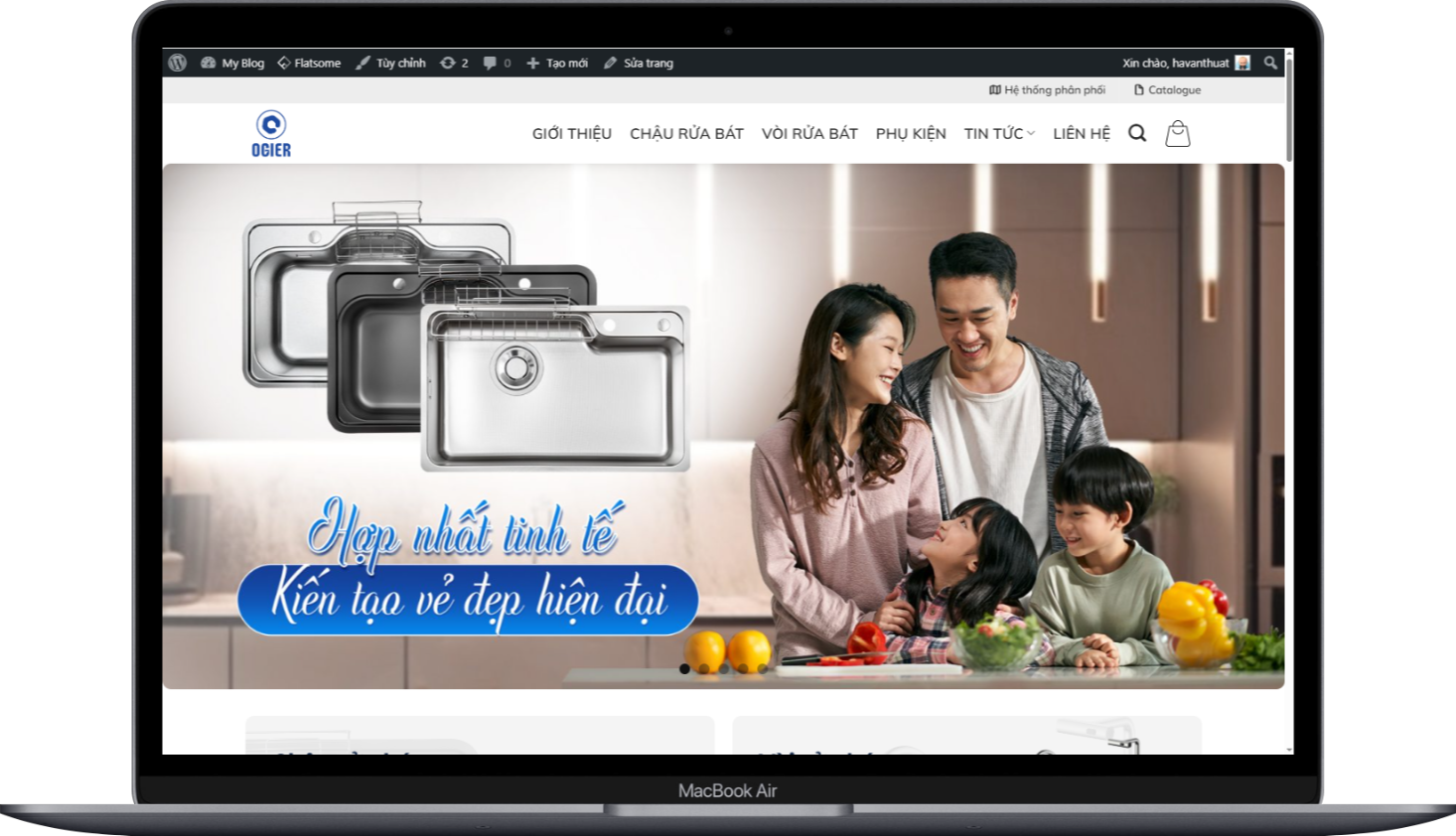 Mẫu Website bán chậu rửa bát, vòi rửa bát